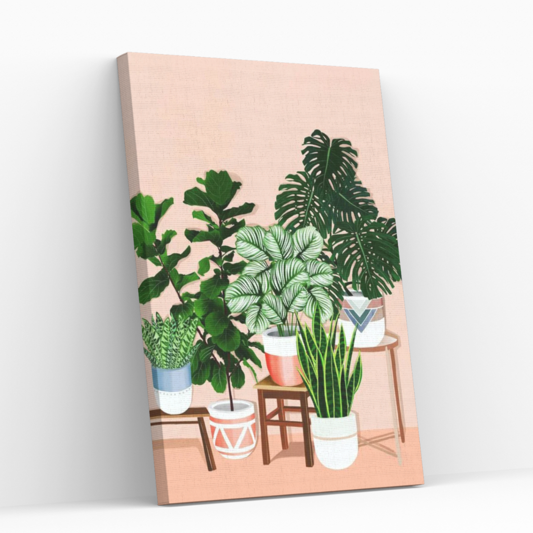 Green Thumb | Paint By Numbers | Pink | Indoor Plants | Pots | Canvas | Stools | Boho | Self Studio